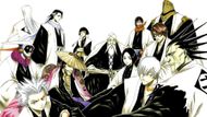 The Gotei 13 (Image Credit: Shueisha)
